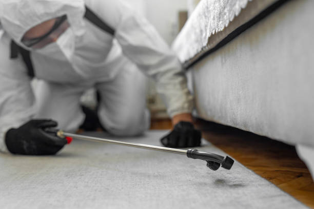 Professional Bed Bug Control technician working in Tuckahoe, VA
