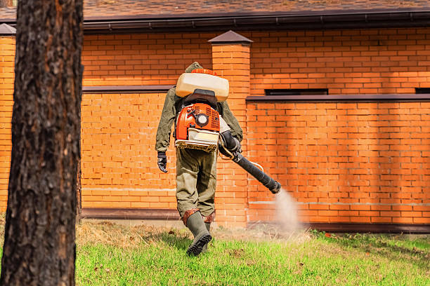Trusted Ant Control service in Tuckahoe, VA - Nex Pest Control